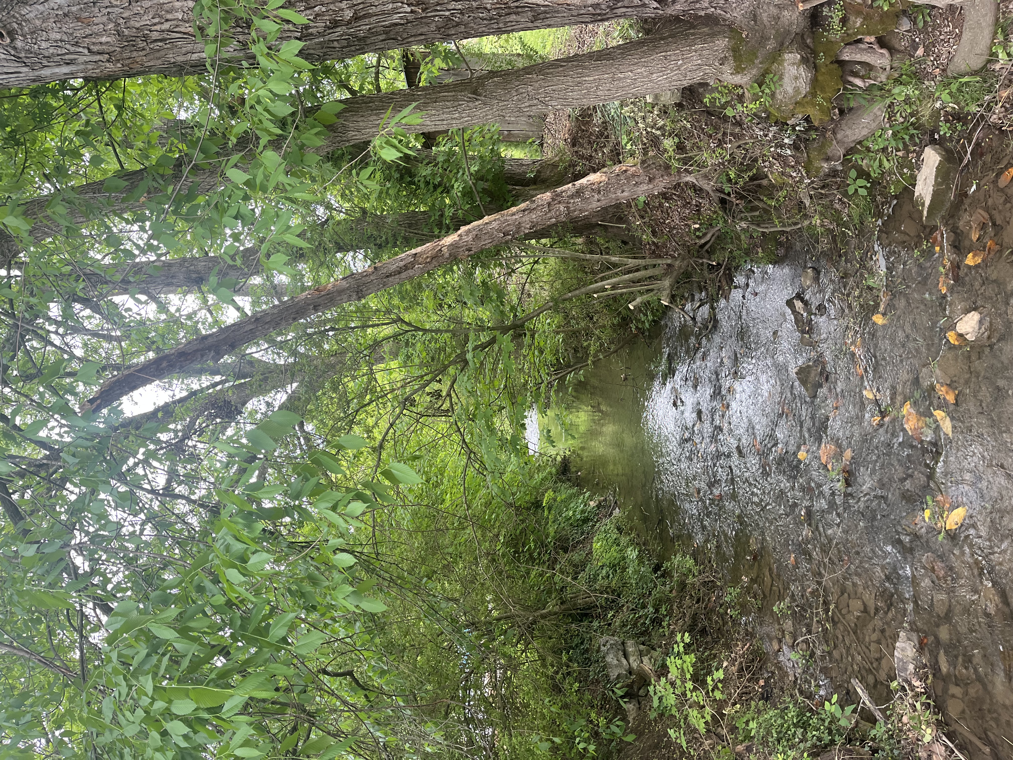 Jonesborough, Tennessee