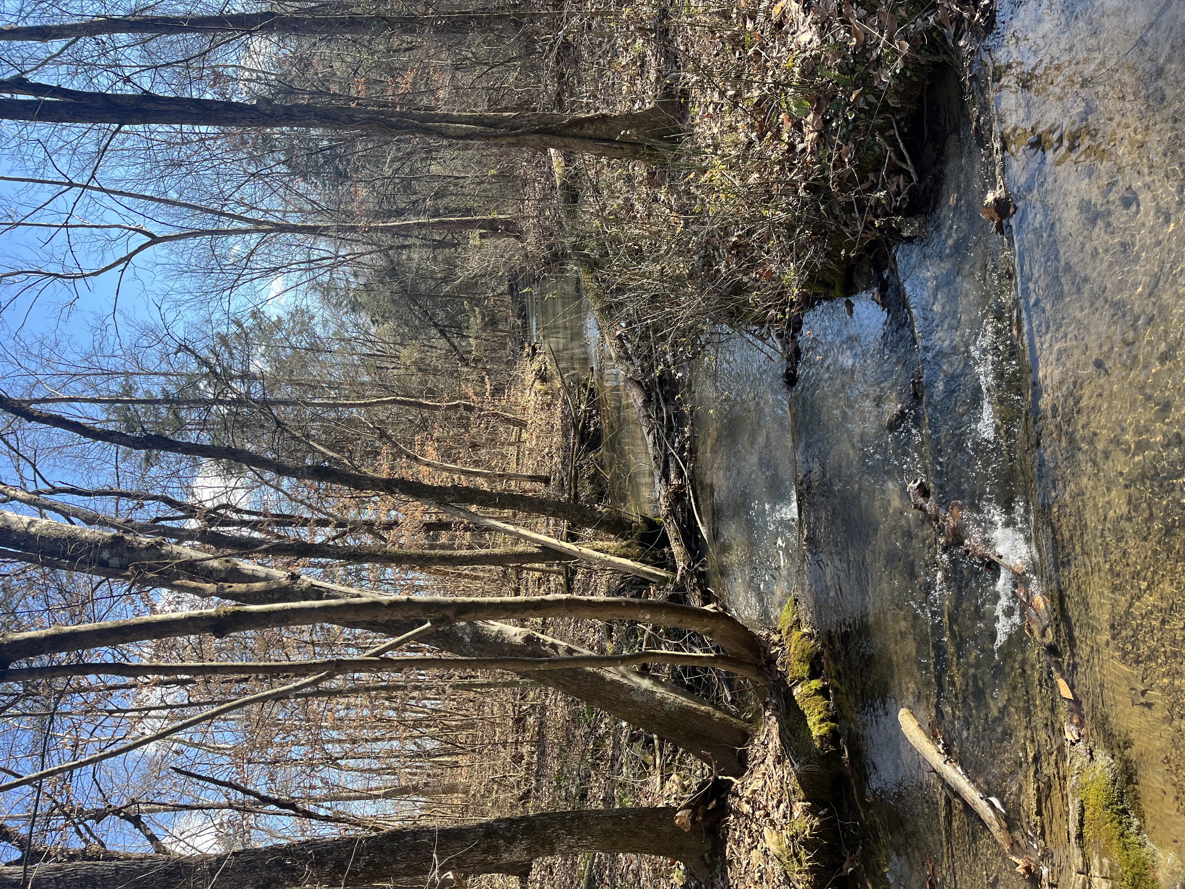 Persimmon Ridge, Washington County, Tennessee
